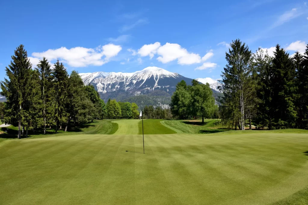 Вид на горы с поля для гольфа Royal Bled