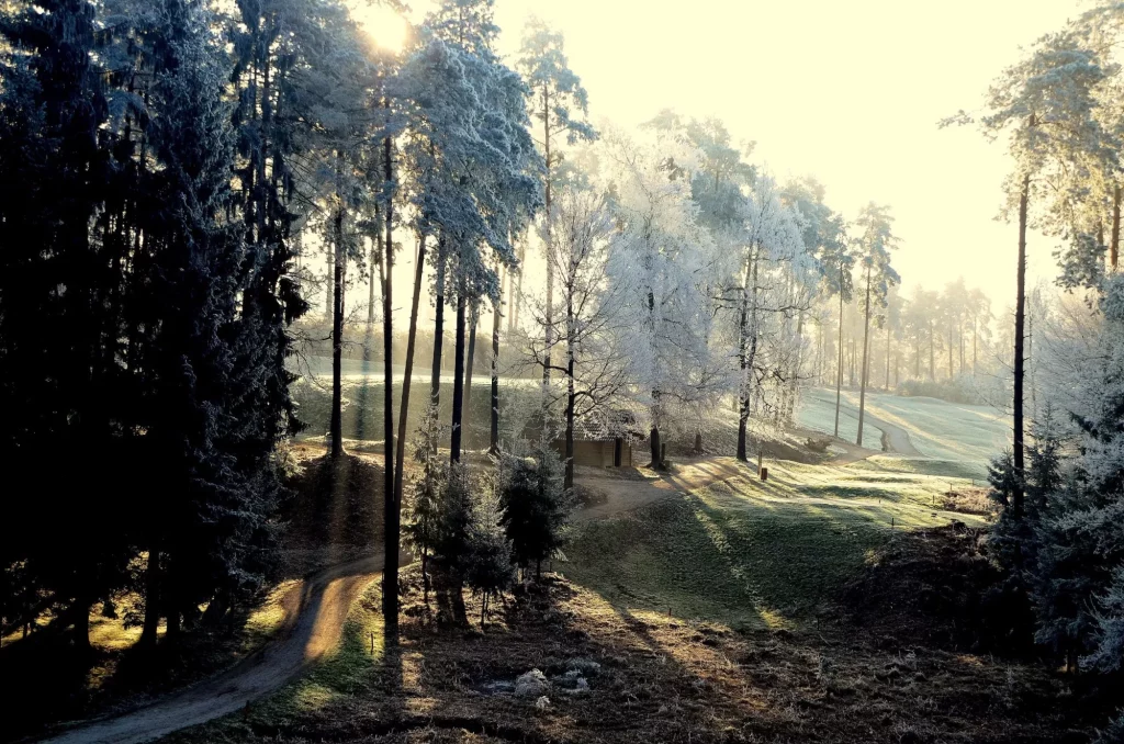 Игра в гольф ранним утром